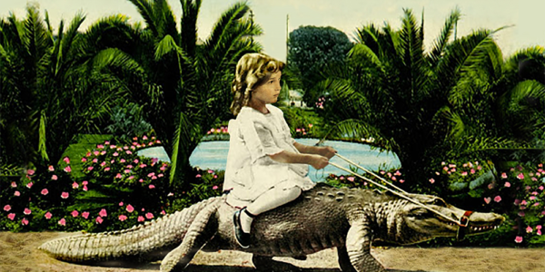 visuel marguerite enfant crocodile
